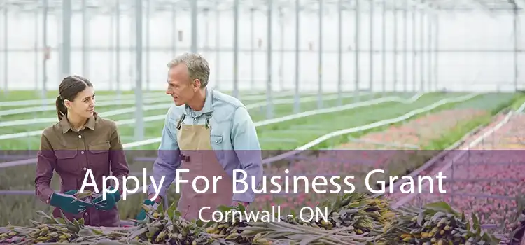 Apply For Business Grant Cornwall - ON