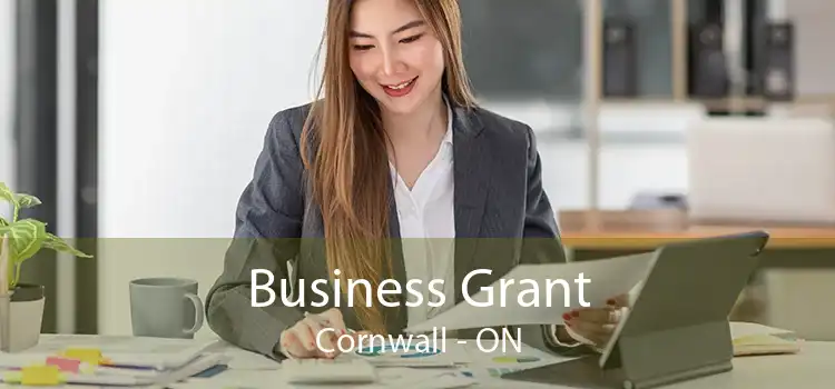 Business Grant Cornwall - ON